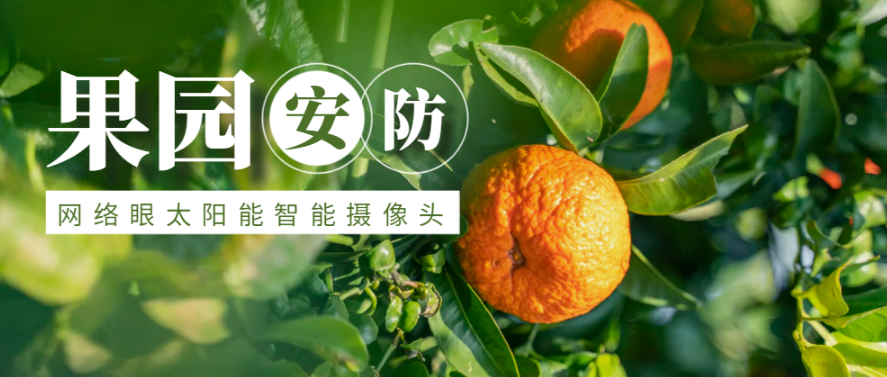 夏季果園難管理(lǐ)？太陽能AI攝像頭助力打造“智慧果園”！